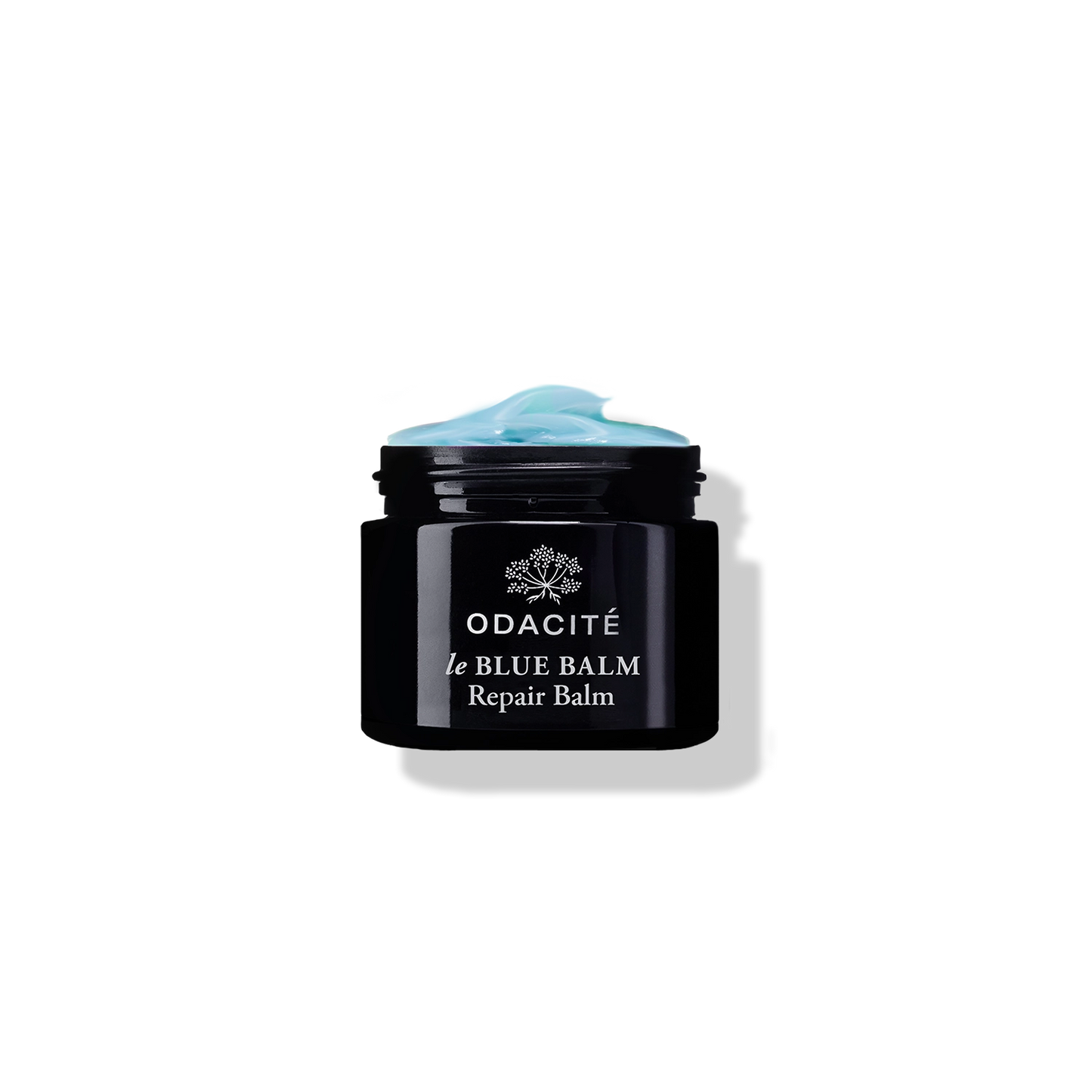 LE BLUE REPAIR BALM