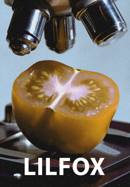 TOMATO MILK